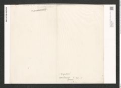 Nitzschia angularis var. borealis Grun. (de-Toni-Nr.: Genus 47, Species 2086) Zeichnungen Sammlung Grunow (NHMW-BOT-W0372019)